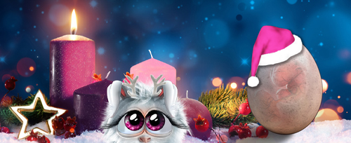 1.AdventKuschelKerzlein Banner.jpg