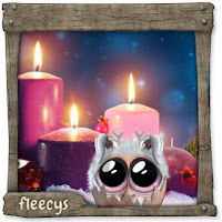 Datei:3.AdventKuschelKerzlein Schlüpfling.jpg