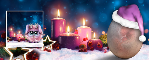 5.AdventKuschelKerzlein Banner.jpg