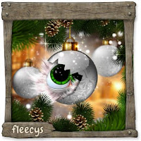 Advent 14Schlüpfling.jpg