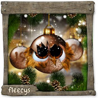 Advent 19Schlüpfling.jpg