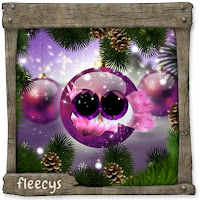 Advent 20Schlüpfling.jpg