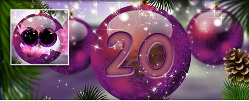 Advent 20 Banner.jpg