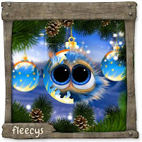 Datei:Advent 5Schlüpfling.jpg