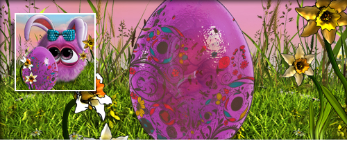 AfterOster Banner.jpg