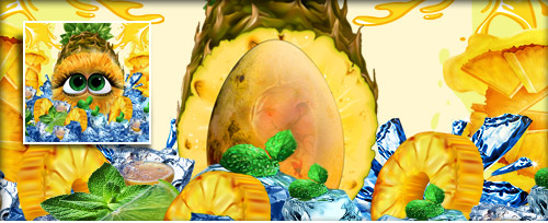 Ananna Banner.jpg