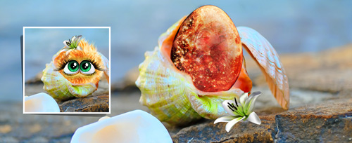 Blü Banner.jpg