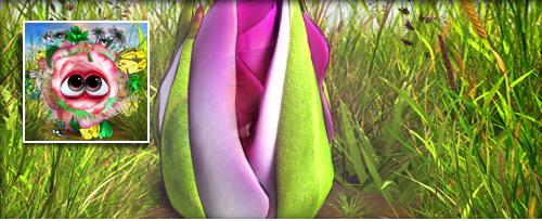 Blumenstrauß Banner.jpg