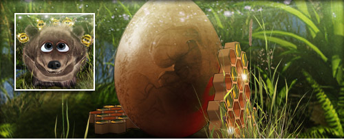 BraunBär Banner.jpg