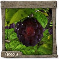 Datei:Brombeer Ei.jpg