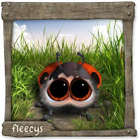 Datei:Bug Schlüpfling.jpg