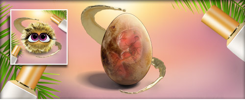 Creme Banner.jpg