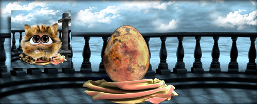 FellPfötchen Banner.jpg