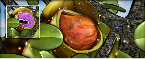 Flauschnuss Banner.jpg