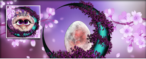 FliegTierchen Banner.jpg