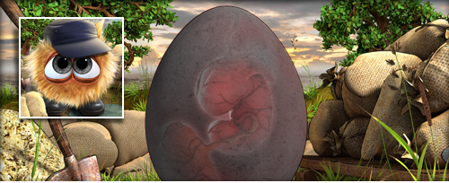 FlutSW Banner.jpg