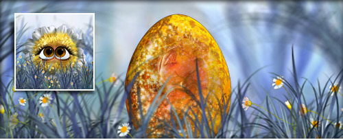 FunkelBlümchen Banner.jpg