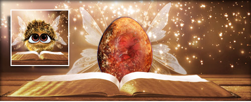 FunkelFee Banner.jpg