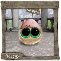 Datei:Gipfel Schlüpfling.jpg