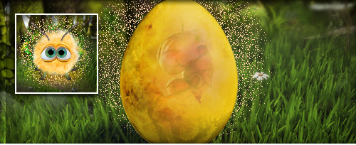 GlitzerKäfer Banner.jpg