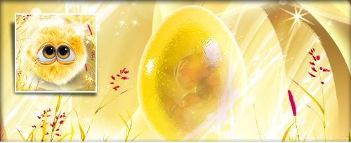 Goli Banner.jpg