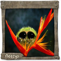 Datei:GreenP Schlüpfling.jpg