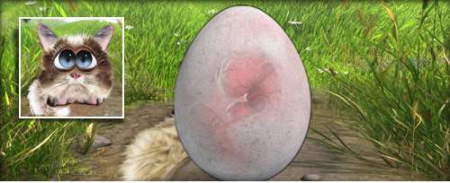 Grumpy Banner.jpg