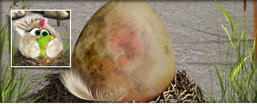 Heb Banner.jpg