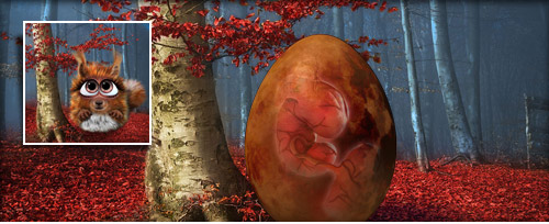 HerbstNüsslein Banner.jpg