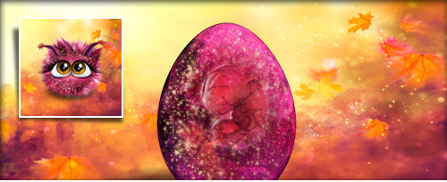 HerbstPi Banner.jpg