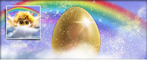Him Go Banner.jpg