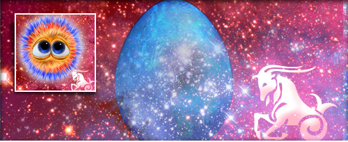 Ho Stein Banner.jpg