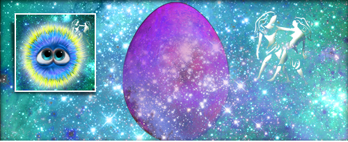 Ho Zwi Banner.jpg