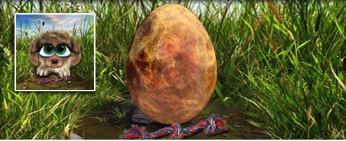 Hund Banner.jpg