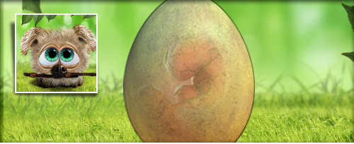 Jagd Banner.jpg