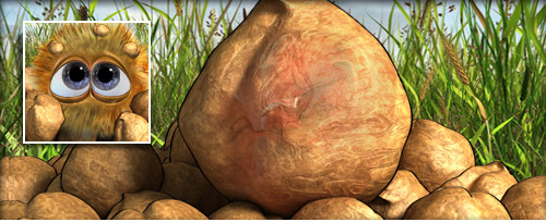 Kicher Banner.jpg