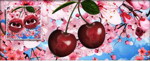 KirschBlüten Banner.jpg