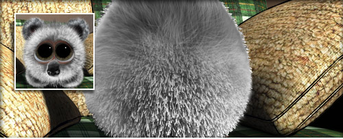 Koala Banner.jpg