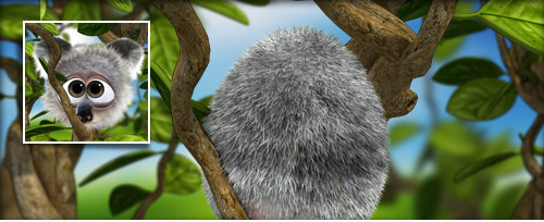 Koalabär Banner.jpg