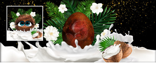 KokosnussMilch Banner.jpg