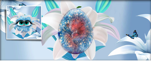 KristallGlitzerBlümchen Banner.jpg