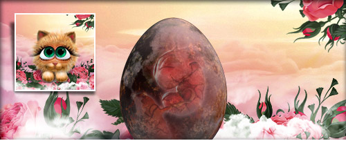 LaufTierchen Banner.jpg