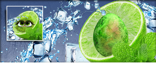 Limetta Banner.jpg