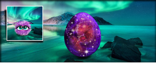 MagicPolarLightPurple Banner.jpg