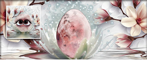 Magnolien Banner.jpg