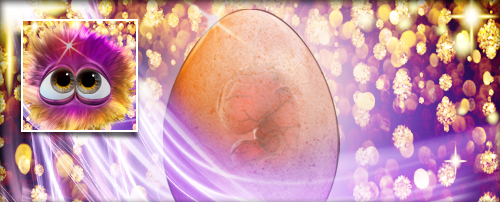 Maiwetter Banner.jpg