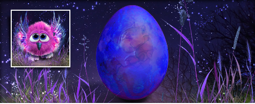 ParadiesVogel Banner.jpg