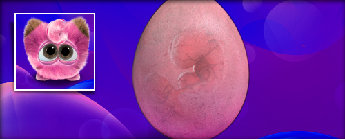 Piepsi Banner.jpg