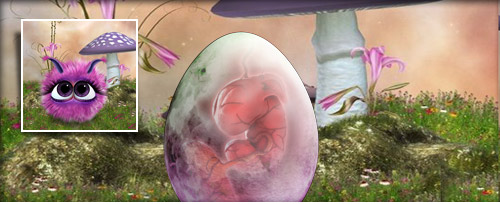 PinkLilaPilzlein Banner.jpg