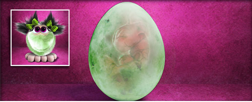 PoisonFräggel Banner.jpg